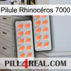 Pilule Rhinocéros 7000 27